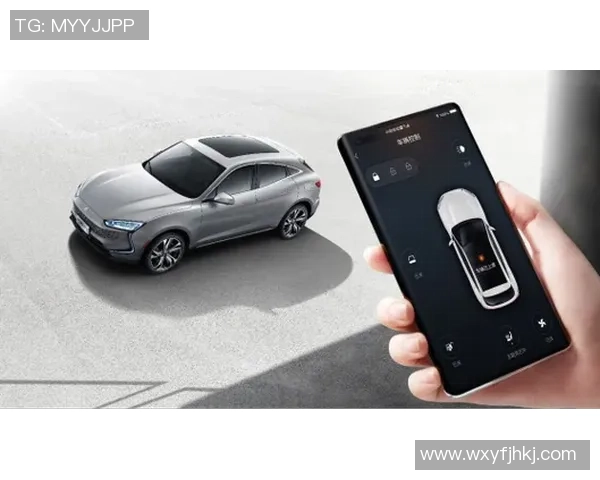 城市赛分析：FPX以惊人速度展现实力引发热议